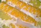 buzzsitemr-BOILED-CORN-ON-THE-COB.